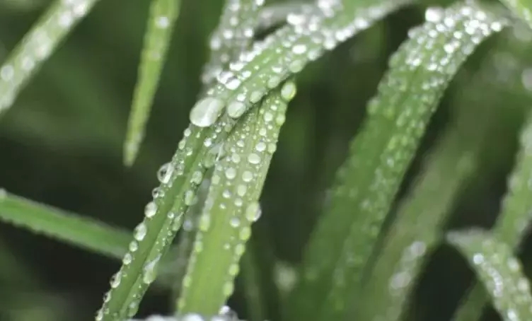 風(fēng)雨無阻，印象裝飾迎來了第77個印象愛心日！